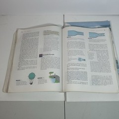 Conceptual Physics Fundamentals Paul G. Hewitt and lab manual Bill wright