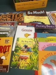 Lucy Calkins Units of Study Reading Grade K Homeschool Curriculum
