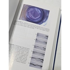 The Epidermis in Wound Healing Dermatology Clinical CRC Press Hardcover