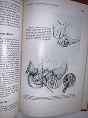 VTG Surgical Clinics Of North America Lot Of 3 HC Books 1971-81 Gastro Surgery+*
