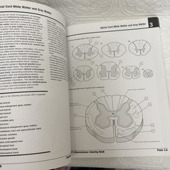 Netter Basic Science Ser.: Netter’s Neuroscience Coloring Book by Mary Summo…