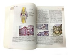 Junqueira’s Basic Histology by Anthony Mescher W/CD-ROM 12th Edition Book Atlas