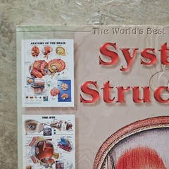 Systems & Structures : The World’s Best Anatomical Charts Collection