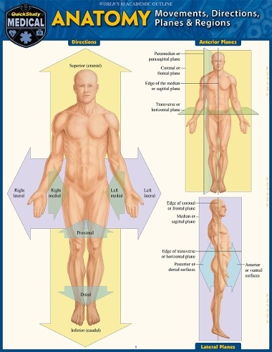 Vincent Perez Anatomy – Directions, Planes, Mo (Mixed Media Product) (UK IMPORT)