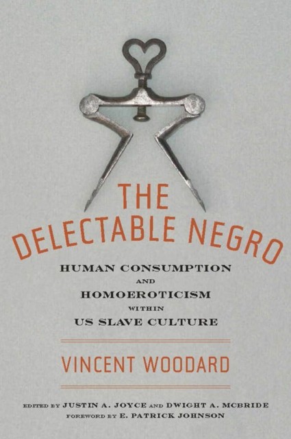 DELECTABLE NEGRO by Vincent Woodard Paperback Self Help Business