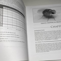 Genetics Laboratory Manual 8th Edition – Adamkewicz Einhorn Otto GMU