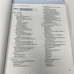 Understanding Pathophysiology by Kathryn L. McCance and Sue E. Huether 2012 Sft