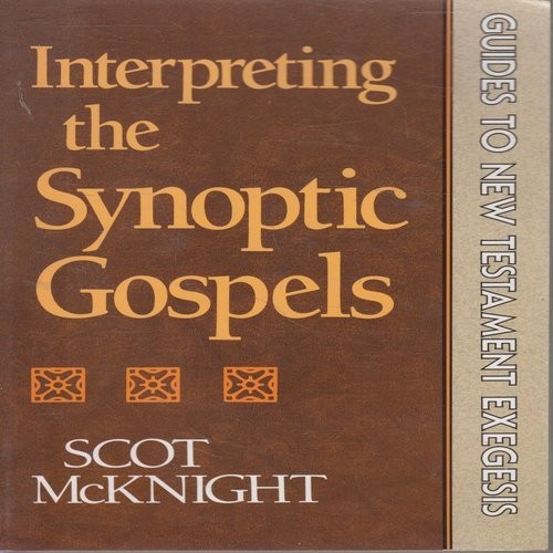 Interpreting the Synoptic Gospels Paperback Scot McKnight