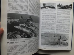 Cold War Shield, RAF Fighter Squadrons 1950-60, Vol. 1: Spitfire, Tempest etc.