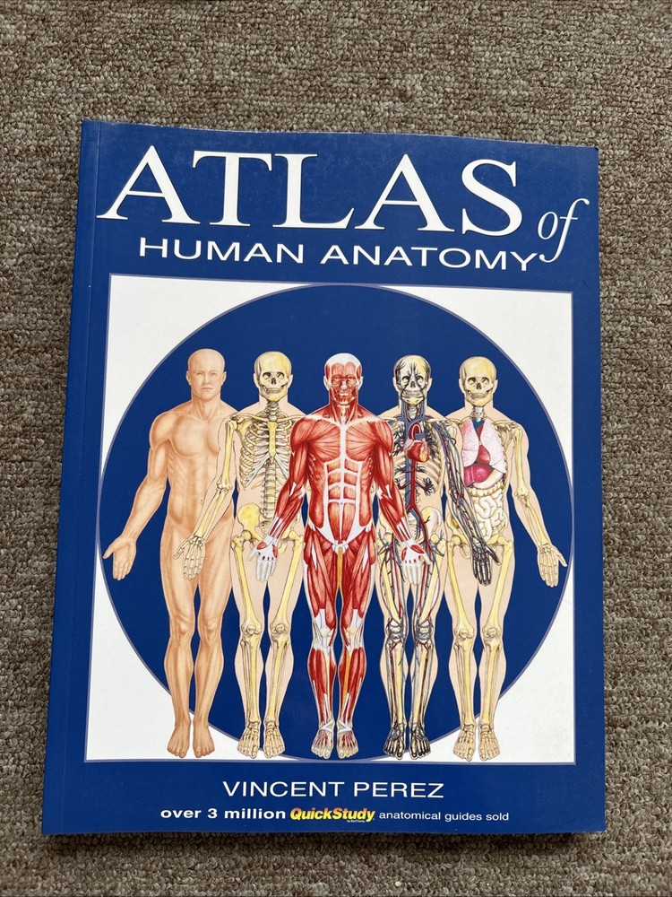Atlas of Human Anatomy by Vincent Perez (2006, Book, Other)
