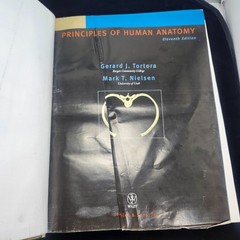Principles of Human Anatomy, 11th Edition by Gerard J. Tortora and Mark T. Niels