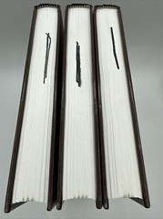 Racial And Ethnic Relations In America 3 Volume Set Rare 2000 Salem Press Inc HC