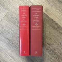 The Collected Works of Spinoza, Volume I & II Philosophy Lot of 2 Edwin Curley