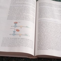 Molecular Biology of the Gene 6th Edition Hardcover Watson Baker Bell 2007