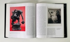 Endless Forms by Charles Darwin, Natural Science & the Visual Arts Hardback Book