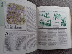 Plants Plus by George Seddon, Andrew Bicknell (Softcover, 1987)