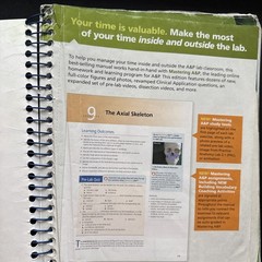 Human Anatomy and Physiology Laboratory Manual, Cat Version by Lori Smith and…