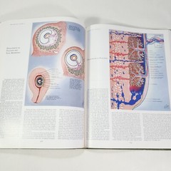 Ciba Medical Illustrations Reproductive System Vol 2 Frank Netter Book 1984 HC