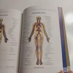 QuickStudy Atlas of Human Anatomy Vincent Perez Health Home School Good