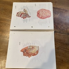 Student Study Art Notebook Concepts of Human Anatomy & Physiology Spiral PB Book