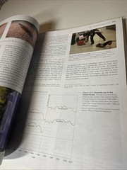 Environmental Science: Toward A Sus…, Boorse, Dorothy