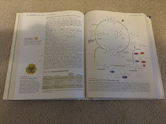 McKee Biochemistry: The Molecular Basis of Life (7th Edition) – Like New!