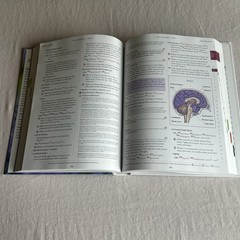 Modern Essentials : The Complete Guide to the Therapeutic Oils 13th Edition 2021