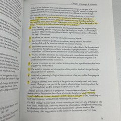 Family Solutions Institute Study Guide-Marriage Family Therapy Exam 3rd Edition