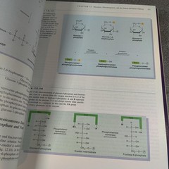 Principles Of Biochemistry Zubay 3 Volume Set Energy Metabolism Genetics Books