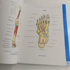 QuickStudy Atlas of Human Anatomy Vincent Perez Health Home School Good