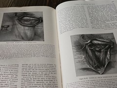 Surgical Anatomy Volume 1+2 Book Anson McVay 1971 GC HC