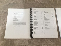 Instructor Manual & Instructor Guide (Wilson Reading System) 1996 3rd Edition