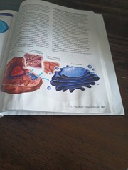 Abeka Biology Gods Living Creation Fifth Edition