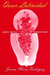 Queer Latinidad : Identity Practices, Discursive Spaces Paperback
