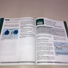 Mike Holt’s Illustrated Guide to Understanding Grounding vs Bonding 2010 NEC