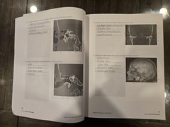Sectional Anatomy for Imaging Professionals, 4e – Paperback. WORKBOOK INCLUDED!!