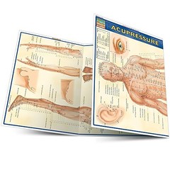 Vincent Perez – Acupressure – Fold-out book or chart – J245z