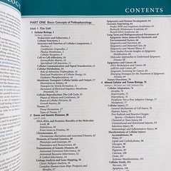 Understanding Pathophysiology Sixth Edition by Kathryn L. McCance Paperback