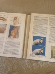 Essentials for Nursing Practice by Patricia A. Stockert, Patricia A. Potter,…
