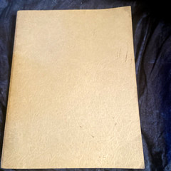 Vtg 1963 SCHAUM’S Theory & Problems of Advanced Calculus/Murray R. Spiegel- NICE