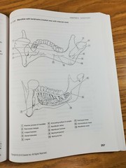 Dental Anatomy Coloring Book (2018, Trade Paperback) 3rd Edition