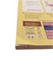 A Visual Analogy Guide to Human Anatomy, 3rd Ed. Paul Krieger Exam Copy – GOOD