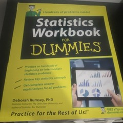 Wiley For Dummies Statistics Workbook by Deborah Rumsey, Paperback 2013