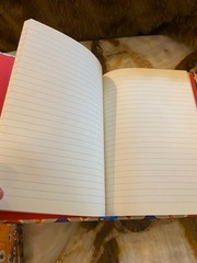 FLAME TREE NOTEBOOKS- British Library Tenniel: Alice-FOILED JOURNAL -NEW