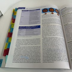 Pharmacology & the Nursing Process 10th Anniversary Edition With Access Code PB