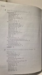 Family Therapy Concepts and Methods: Davis & Nichols (see photos:)