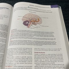 Varcarolis’ Foundations of Psychiatric-Mental Health Nursing A Clinical 9th Ed.
