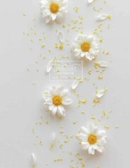 Not: To Do List Not with Cute catoon cover Extra large (8.5 x 11) inches, 110…