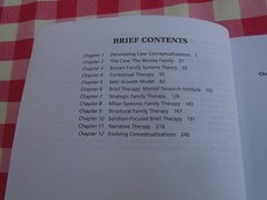 Case Conceptualization in Family Therapy by Michael Reiter
