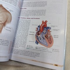 Bates’ Nursing Guide Third Edition Hardcover by Hogan-Quigley & Palm, Wolters K…